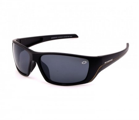 Swisssport Sunglasses - Gold Tag SW284